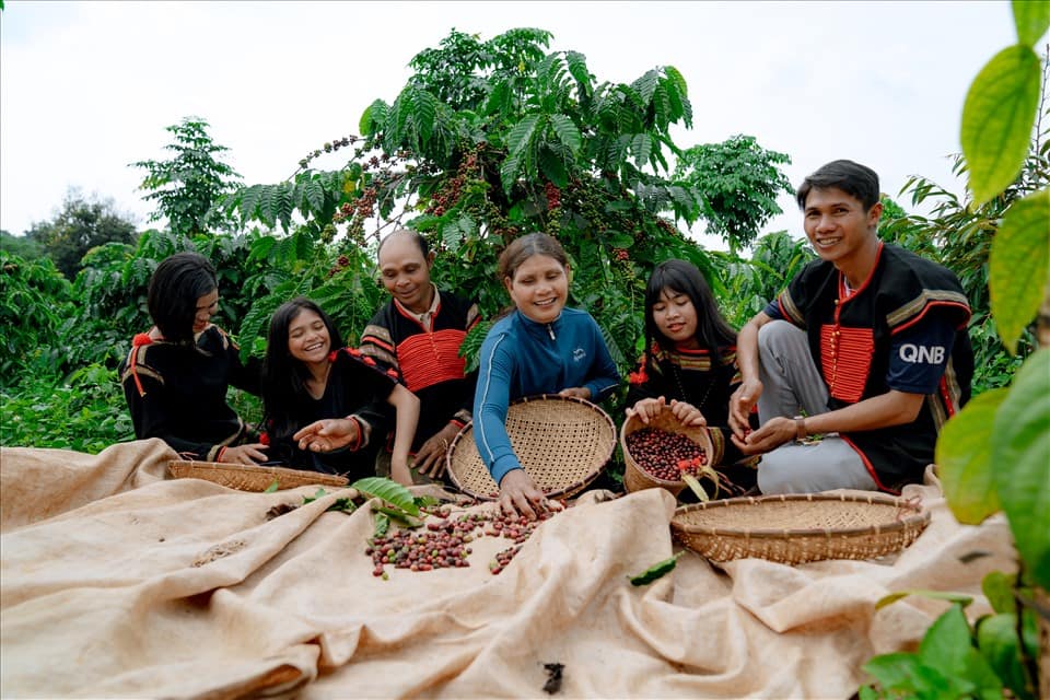 Various special activities during the 8th Buon Ma Thuot Coffee Festival in 2023