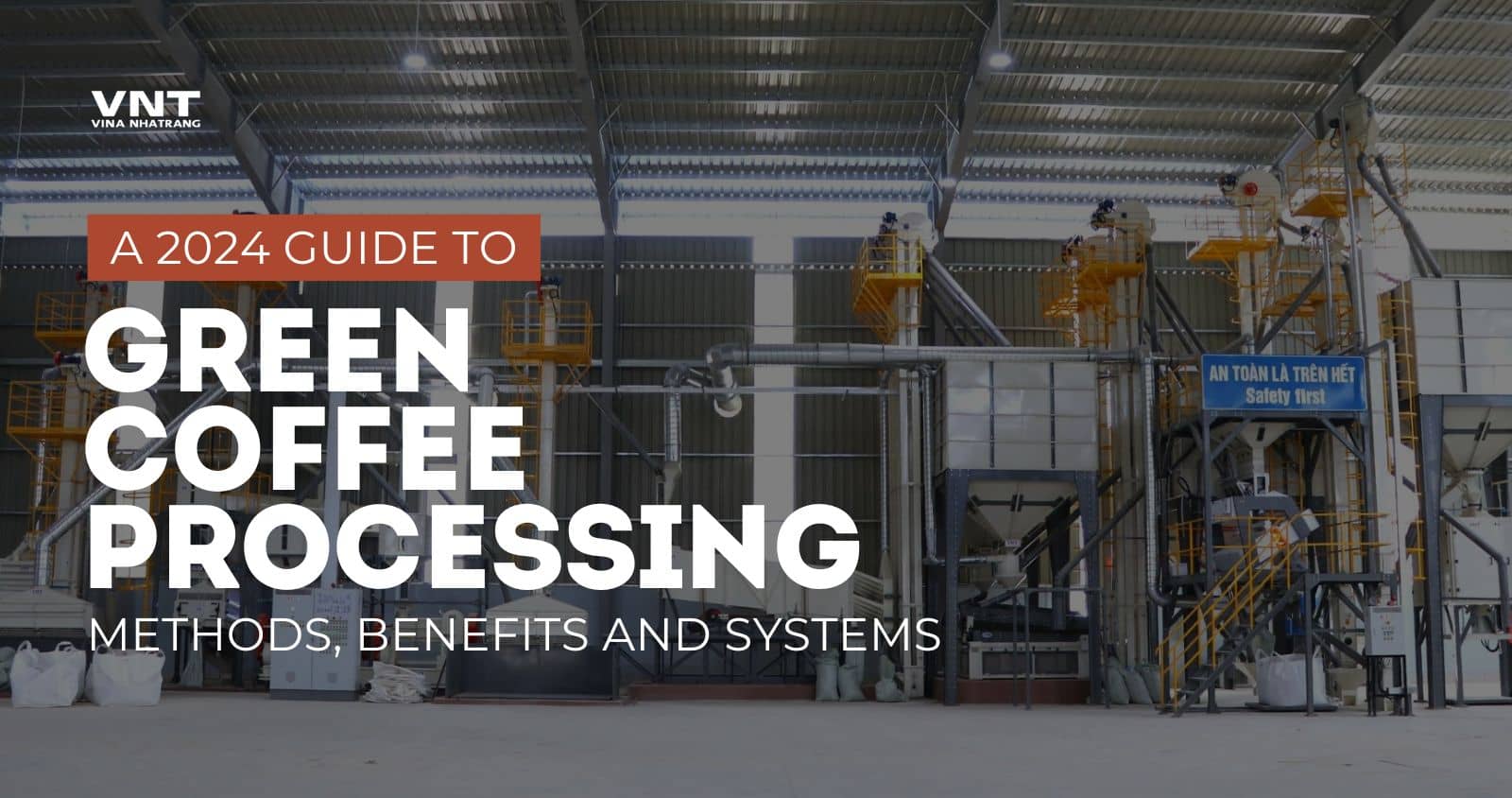 What is Green Coffee Processing: Methods, Benefits, and Systems